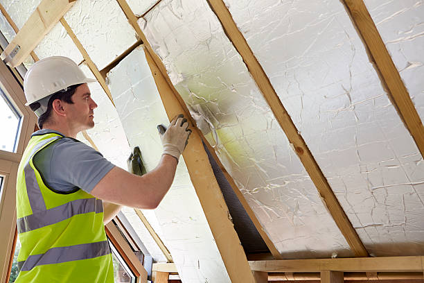 Best Insulation Maintenance and Repair in Memphis, FL
